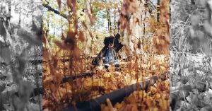 Billy Woods’ Golliwog: a horrorcore album built for the A24 crowd