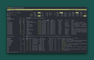 CLI agents like Claude Code make home self-hosting simpler and actually fun