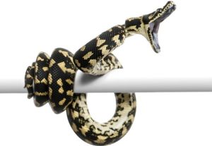 Popular Python AI libraries for Hugging Face exposed to poisoned metadata